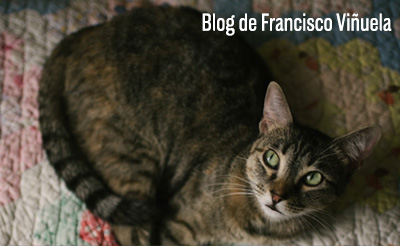 Blog de Francisco Viñuela